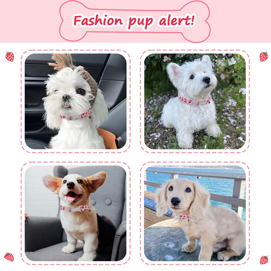 Astdogio Pink Dog Collar for Medium Dogs, Adjustable Strawberry Dog Collar with Quick Release Buckle, Cute Puppy Collar for Girl or Boy Dogs, M
