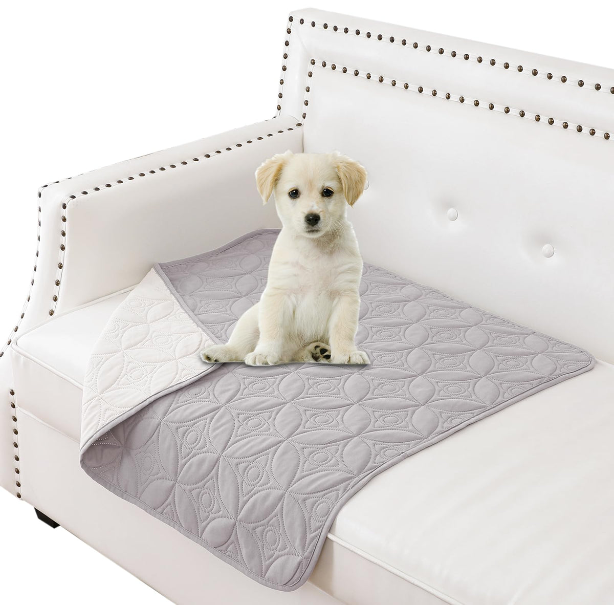Tuffeel Waterproof Couch Cover for Dogs - Washable Pets Furniture Protector