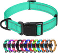 TagME Reflective Nylon Dog Collars, Adjustable Classic Pet Collar with Quick Release Buckle for Medium Dogs, Turquoise, 1.0" Width