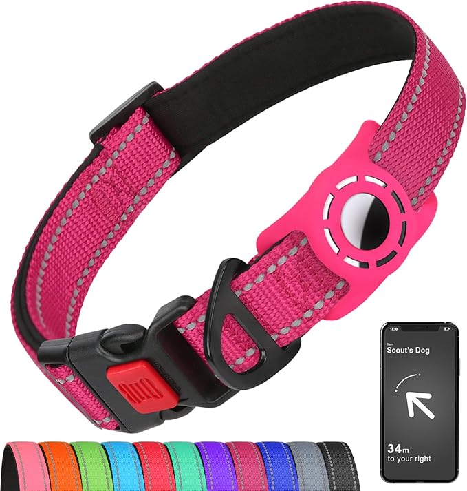 Erbine AirTag Dog Collar with AirTag Holder Compatible for Air Tag, Reflective Soft Padded, Safety Locking Buckle, Adjustable Nylon for Small Medium Large Dogs (Hotpink,XS)