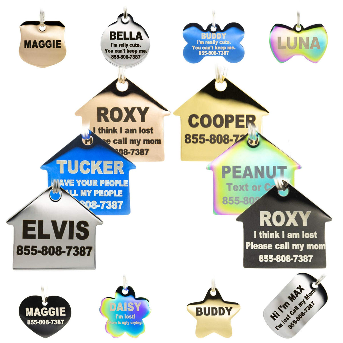 Engraved Dog Tags Personalized - Stainless Steel Engraved Dog Cat ID Tags Front & Back up to 8 Lines of Text Color Plating Gold, Rose Gold, Blue, Black, Nebula by PetANTastic