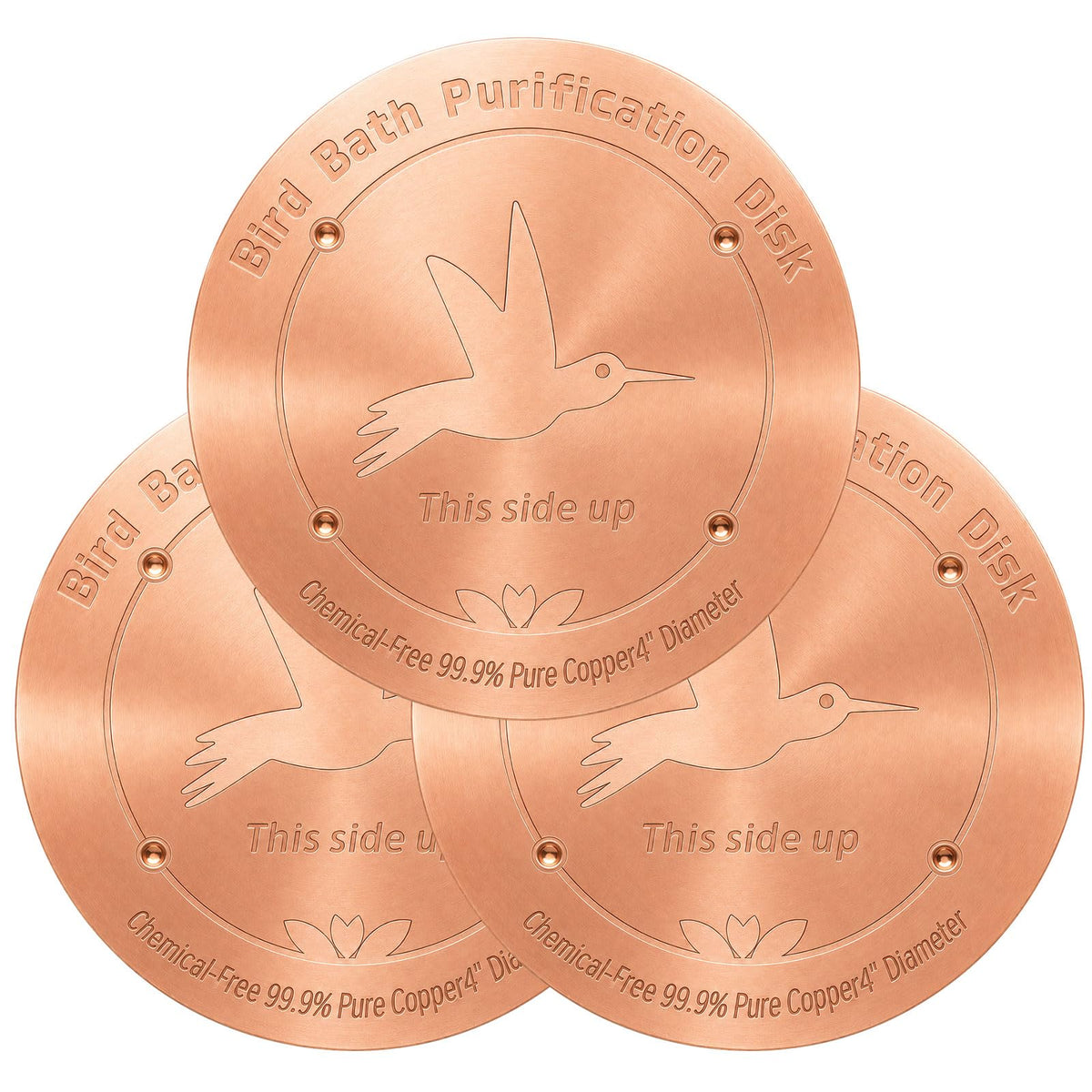 CTTZCKJ 3PCS Pure Copper Bird Bath Purification Disk - 4" Diameter, 0.6mm Thick, Reinforced with Four-Point Support, Universal Fit for Outdoor Birdbath & Bowl