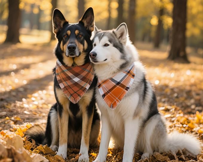 Fall Dog Bandanas 2PCS Large Plaid Tassels Halloween Thanksgiving Outfit
