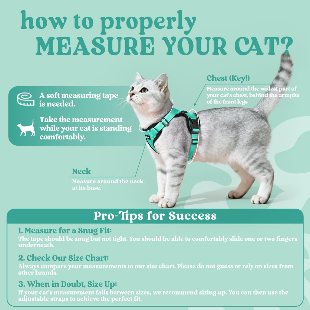 rabbitgoo Cat Harness and Leash Set, Escape Proof Vest, Emerald
