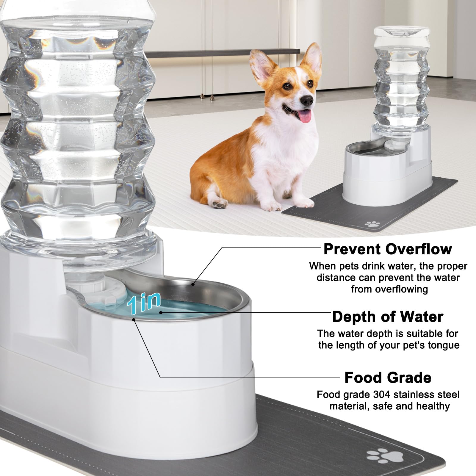RIZZARI 8L Elevated Dog Water Dispenser: Senior Pets Filtered Hydration