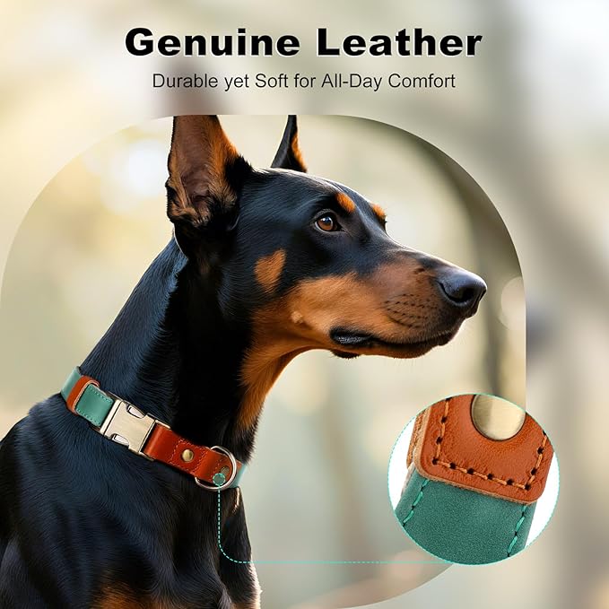 Plutus Pet Genuine Leather & Hemp Dog Collar – Adjustable Heavy Duty Pet Collar with Quick Release Metal Buckle, Soft & Stylish for Puppy and Small, Medium, Large Dogs (Green, XS)