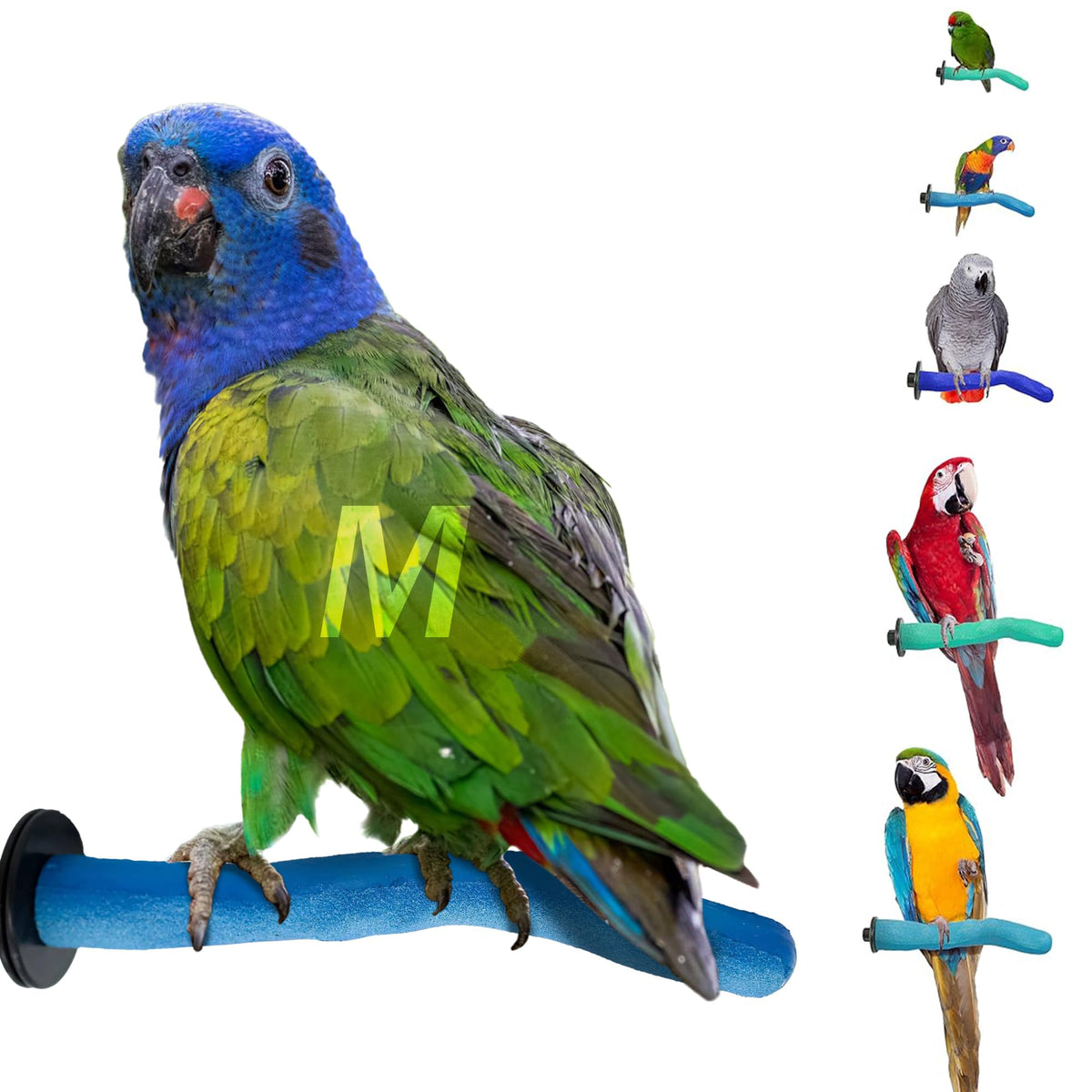 Sweet Feet and Beak Safety Pumice Bird Perch, X-Small Pedicure Perch, Blue
