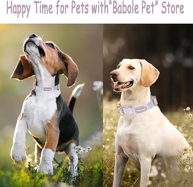 Nylon Dog Collar - Adjustable Lavender Soft Webbing Dog Collars for Small Medium Large Dogs Boy Girl Puppy Collar with Safety Metal Buckle L