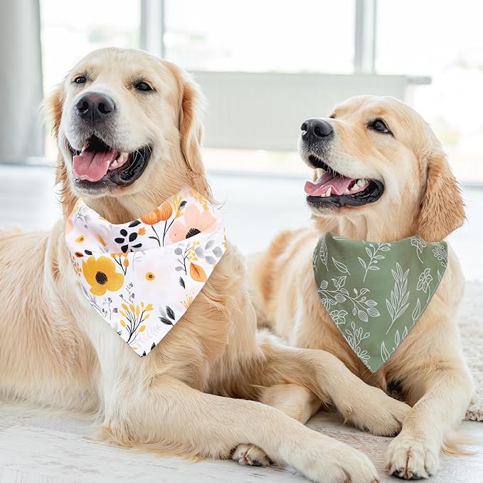 Whaline 4 Pcs Boho Pet Bandanas, Daisy Rainbow Floral Flower