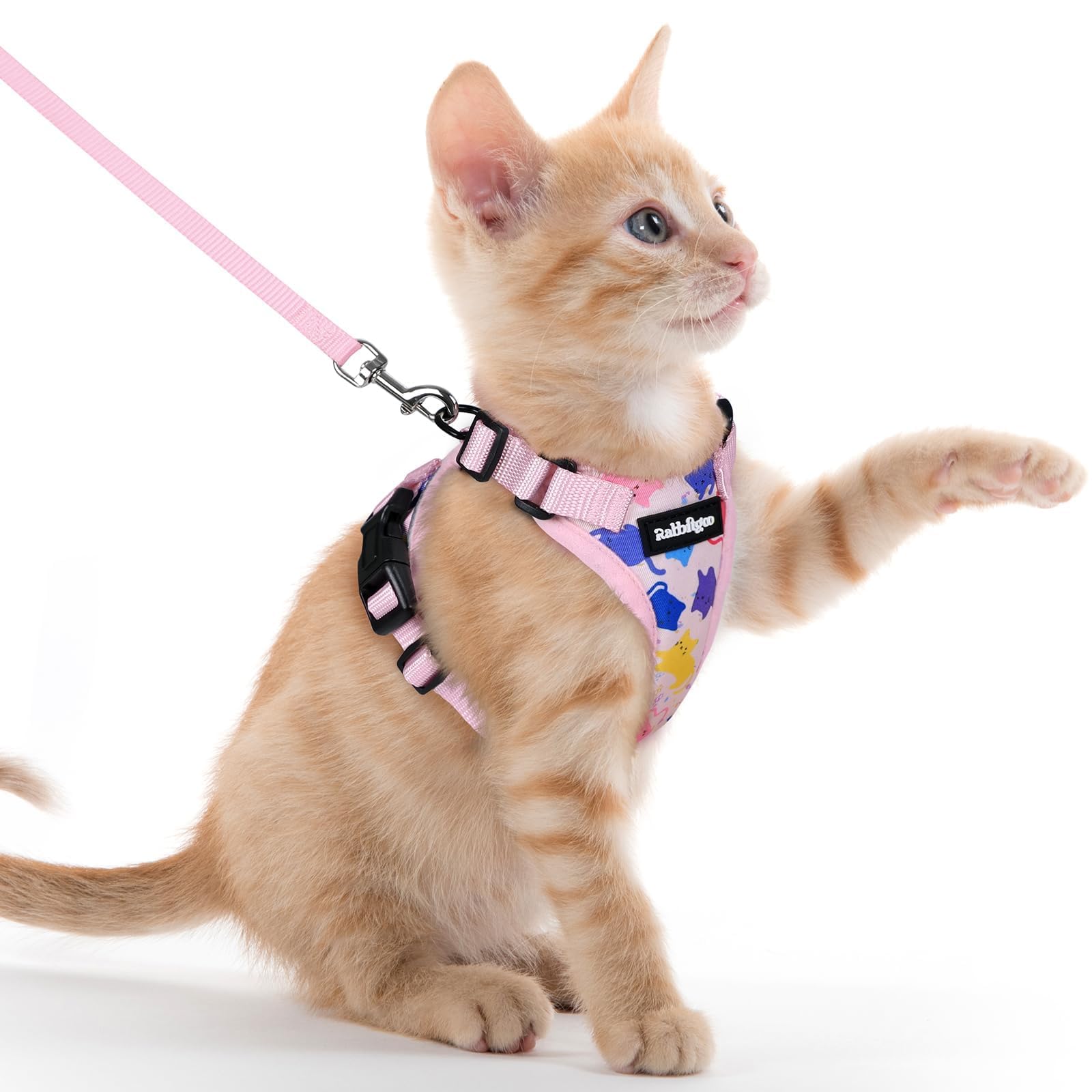 rabbitgoo Cat Harness and Leash Set, Escape Proof Vest, Emerald