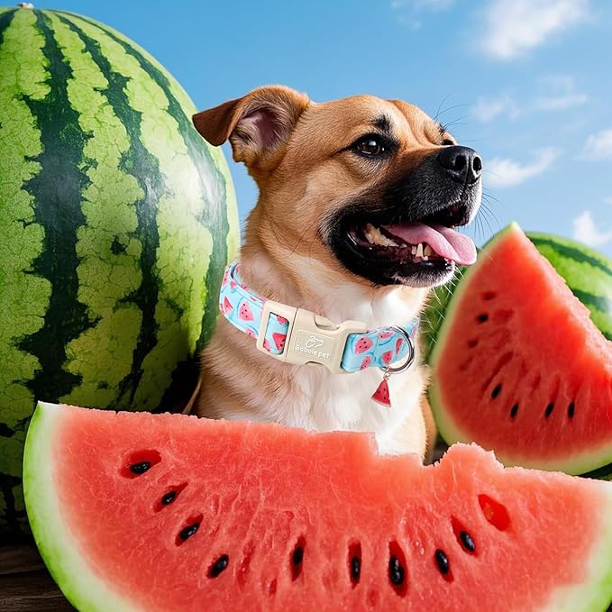 Babole Pet Adjustable Summer Dog Collar, Cute Watermelon Dog Collars for Small Dogs, Lightweight Quick-Release Buckle Collar for Boy&Girl Dogs S