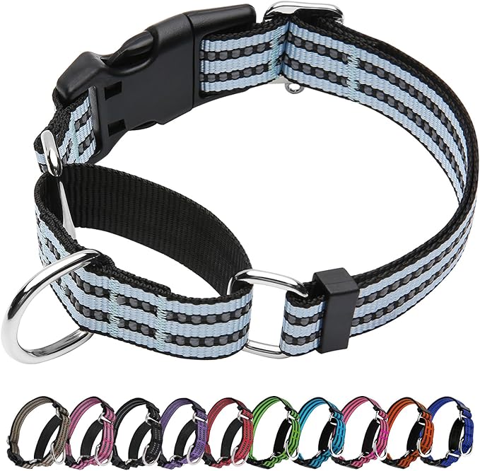 JOYEEIIOO Martingale Dog Collar, Adjustable Nylon Reflective Collar with Quick Release Buckle, No Pull Dog Training Collars for Small Medium Large Dogs (Ice Blue, Small)