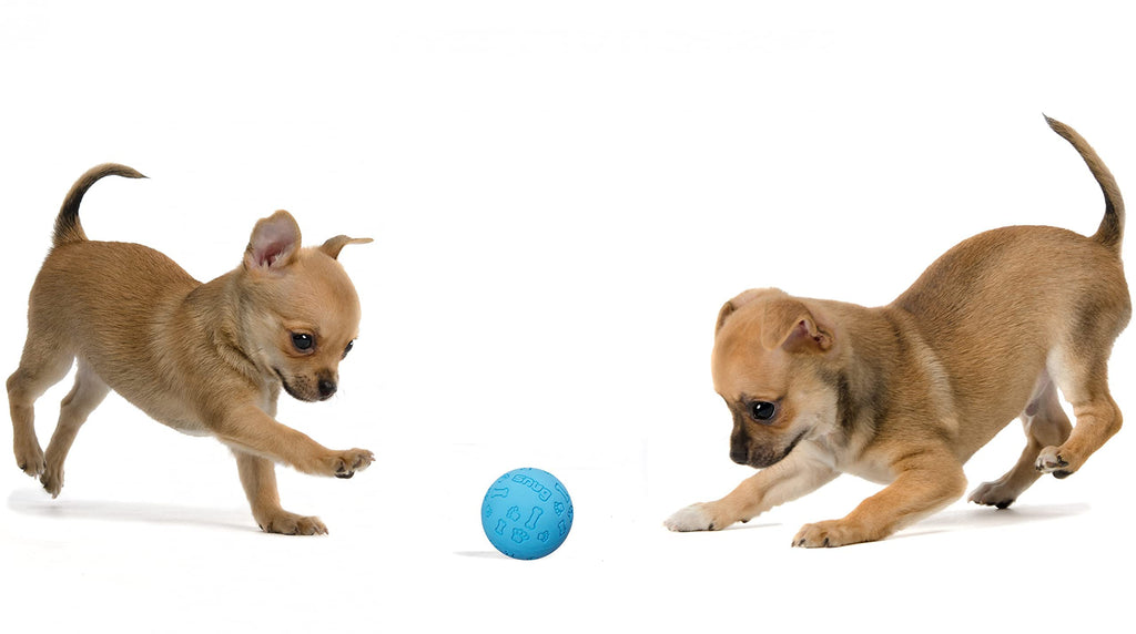 Snug Rubber Dog Balls for Small and Medium Dogs - Tennis Ball Size - Virtually Indestructible (3 Pack - Blue)