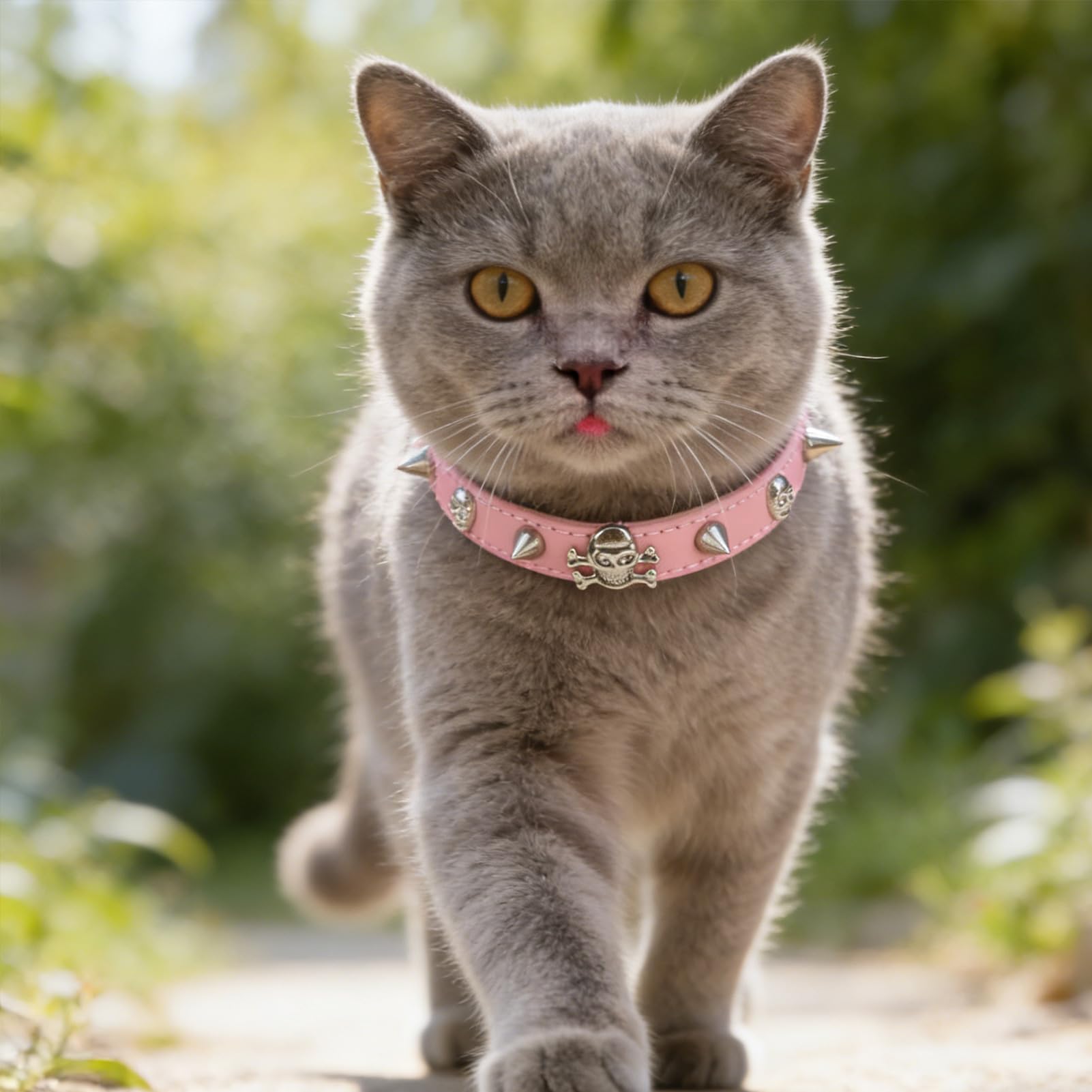 EXPAWLORER Leather Cat Collar for Girl Boy Cats,Pink(Rivet & Skull)