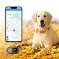Fajocru GPS 4G Tracker & Health Monitoring for Dog with LED Light Up,Sounding, Waterproof GPS Location & Smart Pet Activity Tracker, Super Long Standby time, Unlimited Range use for Dogs Collar