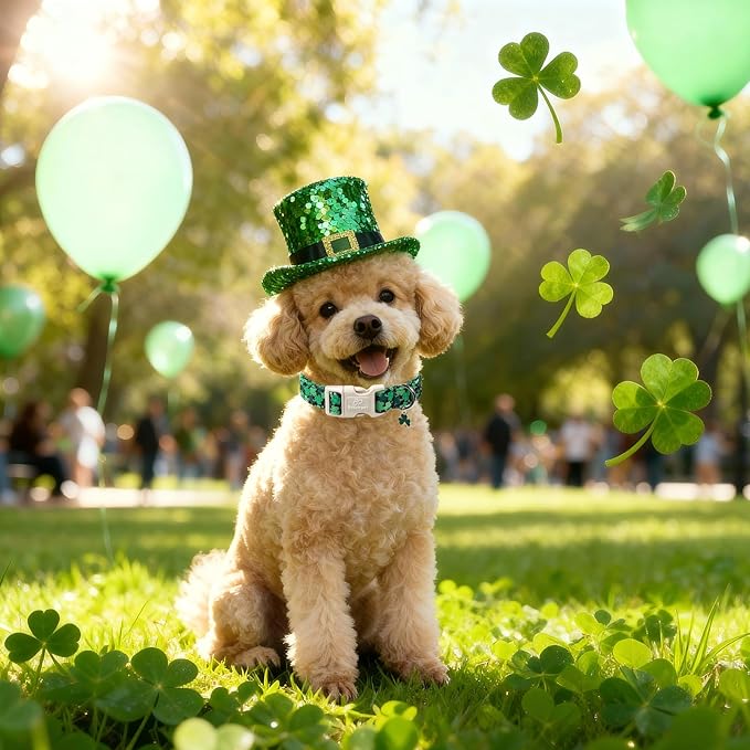 Babole Pet St Patricks Day Dog Collar for Puppy Small Dogs - Green Lucky Clover Dog Collars, Lightweight Adjustable Irish Festival Shamrock Dogs Collars with Quick Release Buckle XS