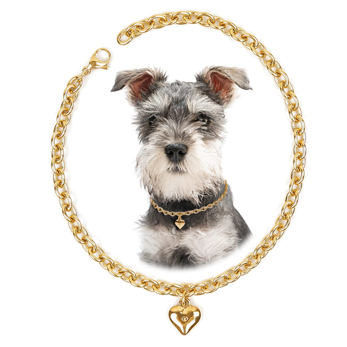 HOWWFALY Dog Collar and Dog Chain Necklace Stainless Steel Adjustable 18K Sliver Heart-Shaped Necklace for Small Pets Cats Kitten Puppy (Sliver, 12 inch)