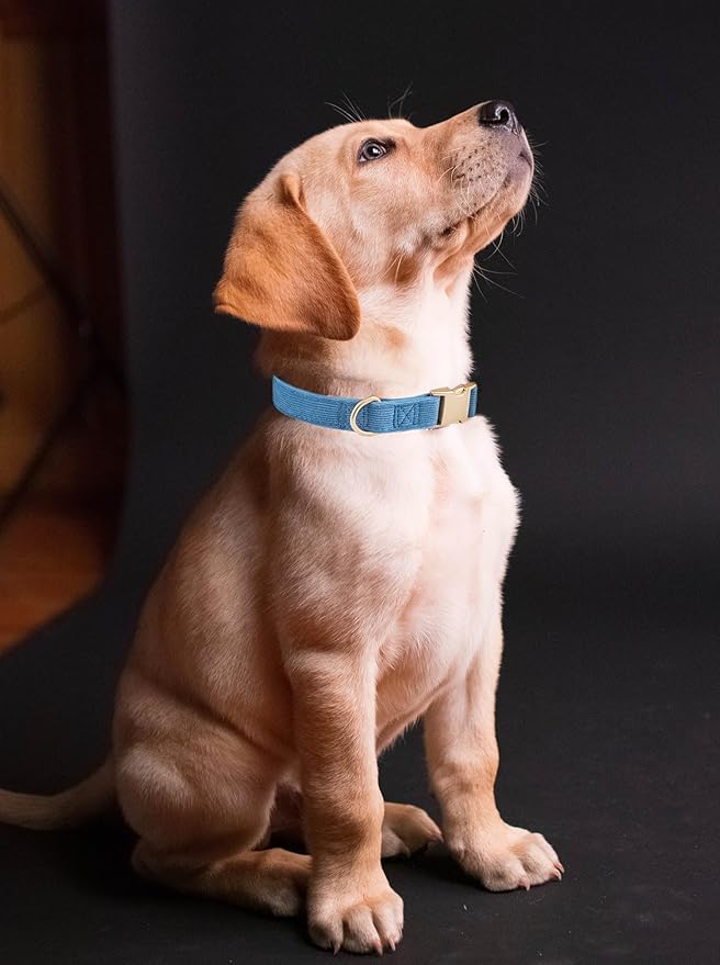 YUDOTE Soft Cotton Dog Collar with Metal Buckle Adjustable Heavy Duty Comfy Corduroy Collars for Small Medium Large Dogs,Blue,Medium