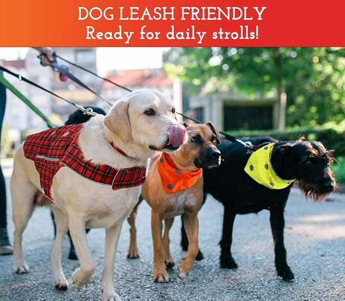 SPOT THE DOG! Reflective Dog Collar - Reversible High Visibility Safety Dog Accessories, Pet Collars, Fluorescent Dog Apparel for Walking, Hiking, Camping, Hunting (Blaze Orange, Red Plaid, XL)