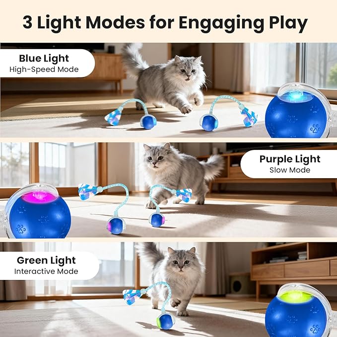 Rocfish Durable Interactive Cat Toys for Indoor Cats (Blue, 03)
