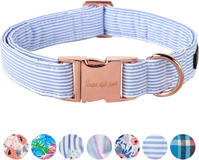 Unique style paws Dog Collar Metal Buckle Collar for Autumn Winter Christmas for Small Medium Large Boys Girls Dogs — S