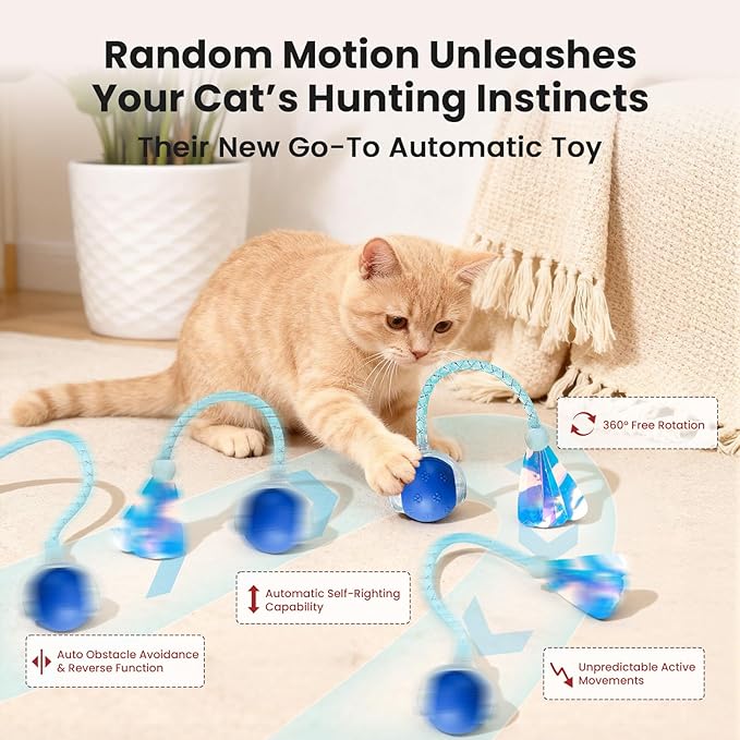 Rocfish Durable Interactive Cat Toys for Indoor Cats (Blue, 03)