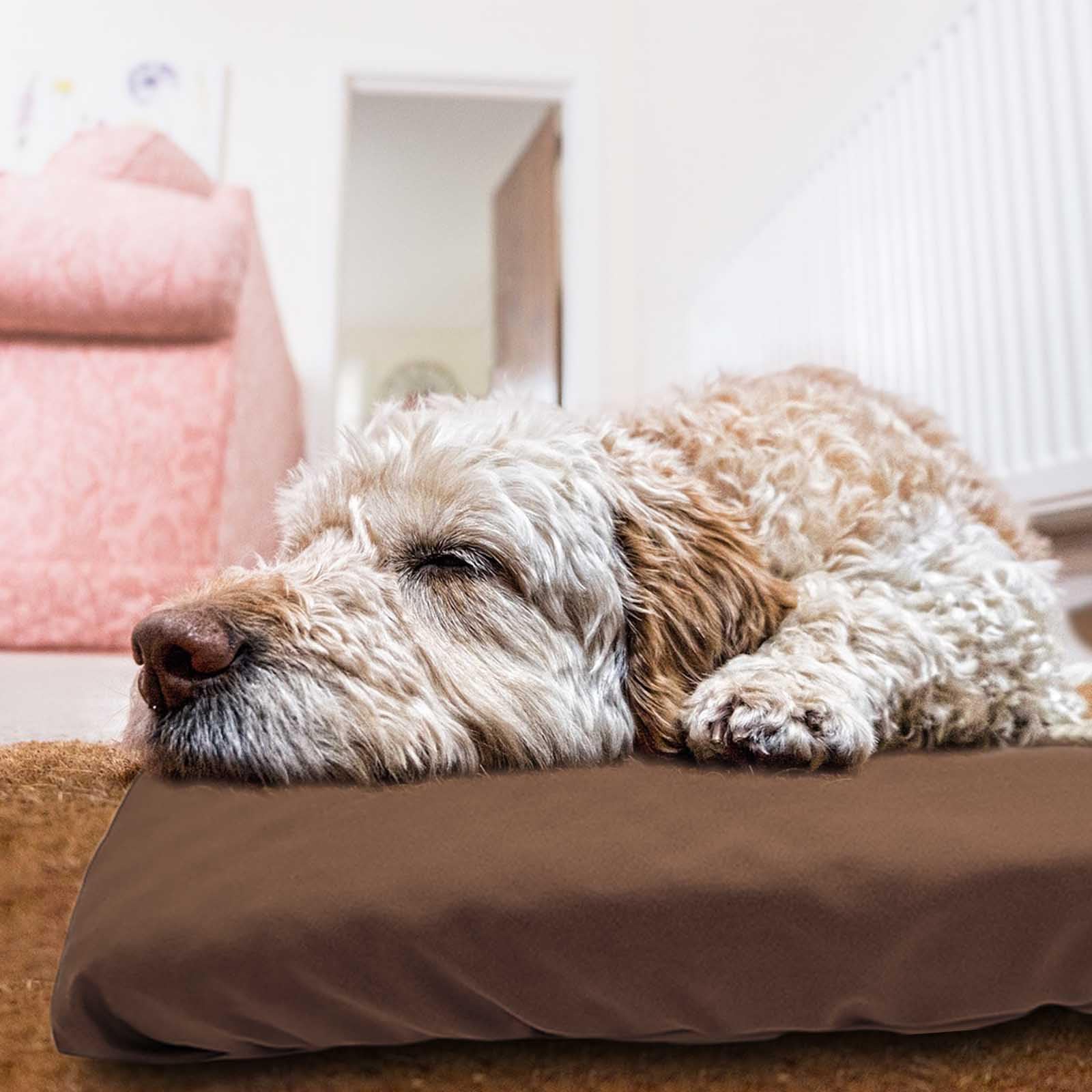 Dog Bed Cover Waterproof Replacement Machine Washable Covers for 24x18 Inch Dog Bed Heavy Duty Scratch Resistant Mattress Protector Pet Bed Cover Only Brown