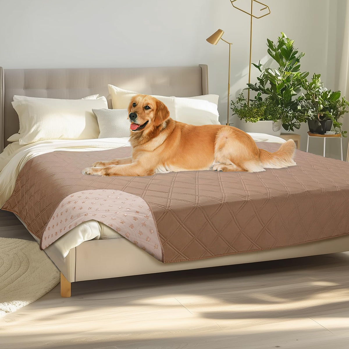 Luciphia Waterproof Couch Cover for Dogs, Non-Slip Pet Sofa Protector