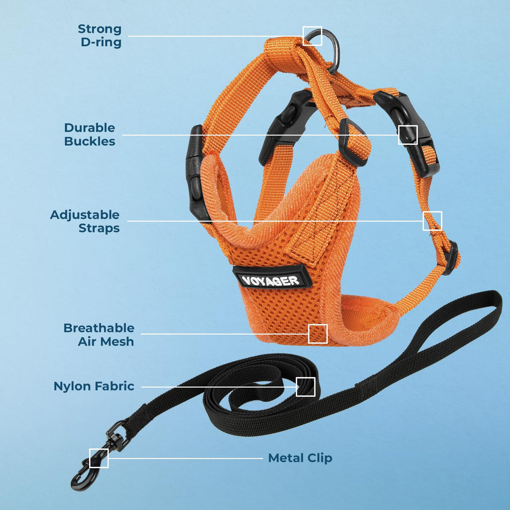 Voyager Escape-Proof Step-in Lock Cat Harness & 5ft Neoprene-Handle Leash Set All-Weather Mesh with Reflective Stitching for Small to Large Cats by Best Pet Supplies, Orange, XS