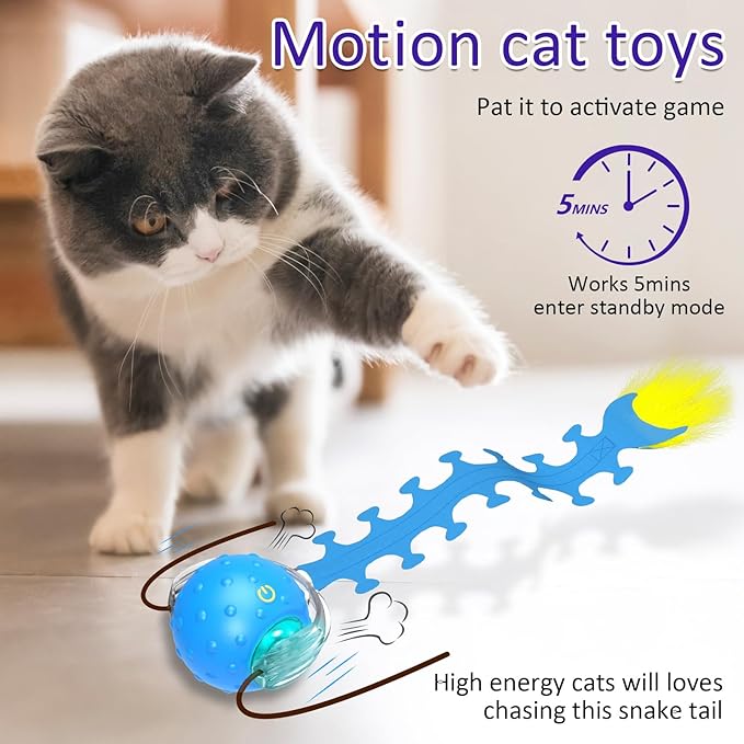 Giociv Interactive Cat Toys Ball for Indoor Cats Fast Rolling on Carpet, Chirping & Motion Activate Cat Toys (Blue Centipede)