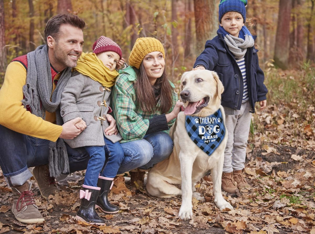 Dog Bandana, Therapy Dog Please Pet Me with, Dogs Scarf Classical Printing, Dogs Scarf Accessories, Doggy Kerchief Pet Kerchief, Christmas Birthday Thanksgiving Doggy Gift A01