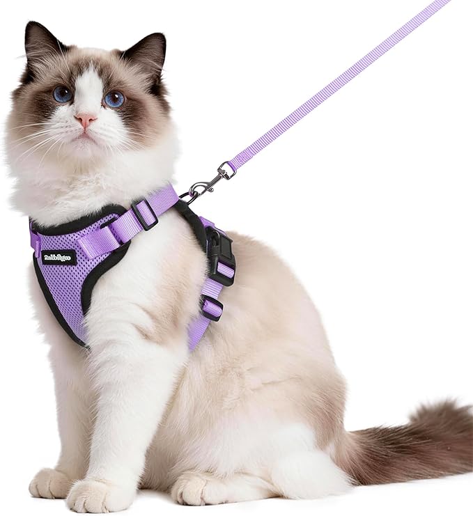 rabbitgoo Cat Harness and Leash Set, Escape Proof Vest