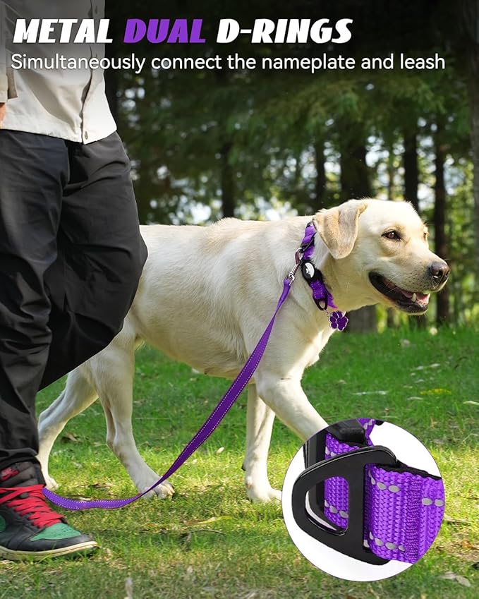 Joytale Airtag Dog Collar, Reflective Pet Collar with Waterproof AirTag Holder, Dual D-Rings, Soft Padded Adjustable for Small Dogs, Purple, S