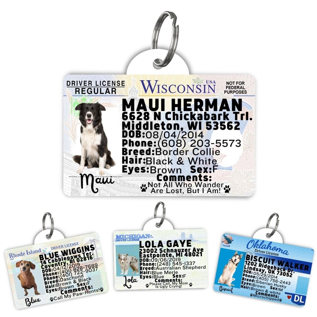 Dog Tags Personalized, Dog ID License Tag for Pets (Washington, Tag)