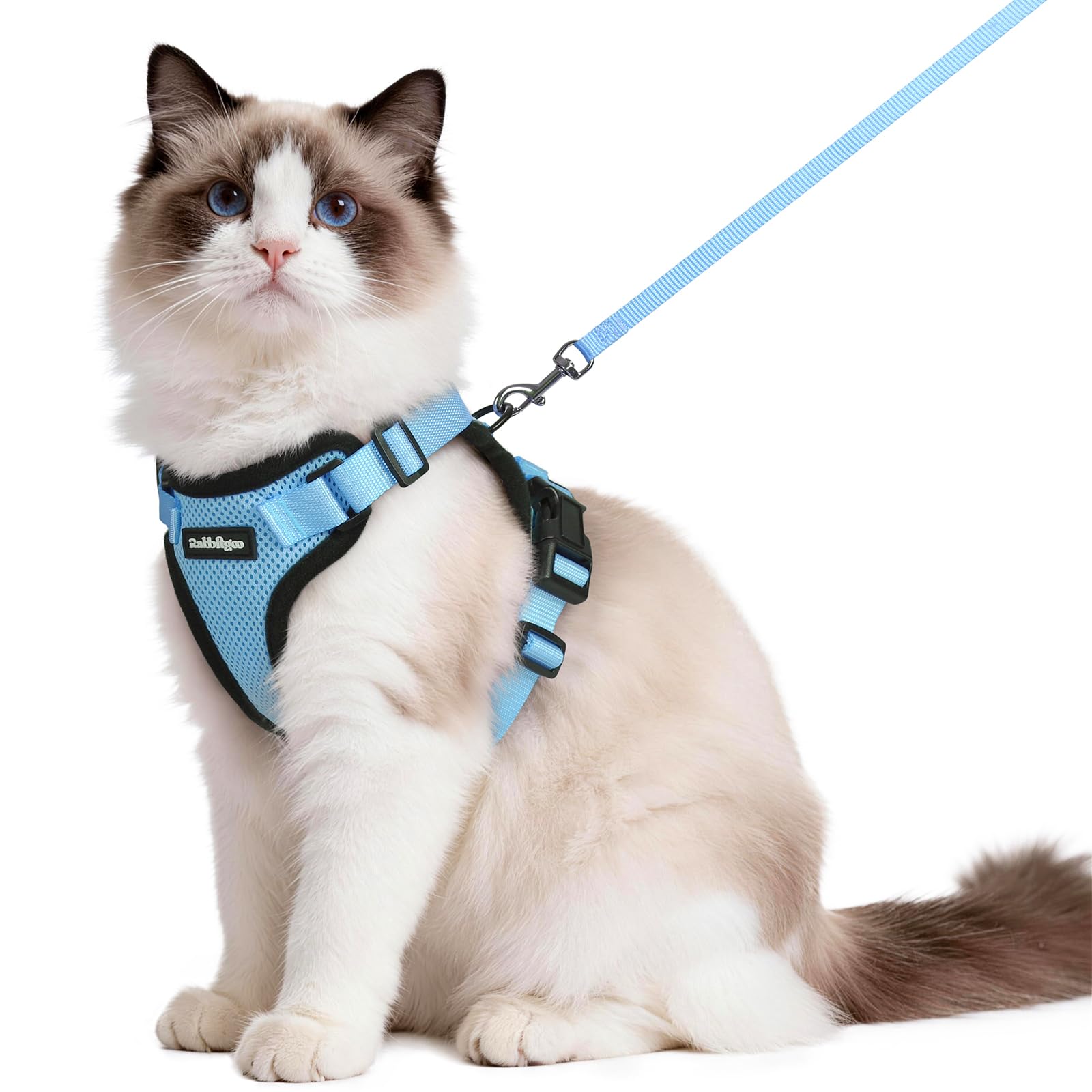 rabbitgoo Cat Harness and Leash Set, Escape Proof Vest, Emerald
