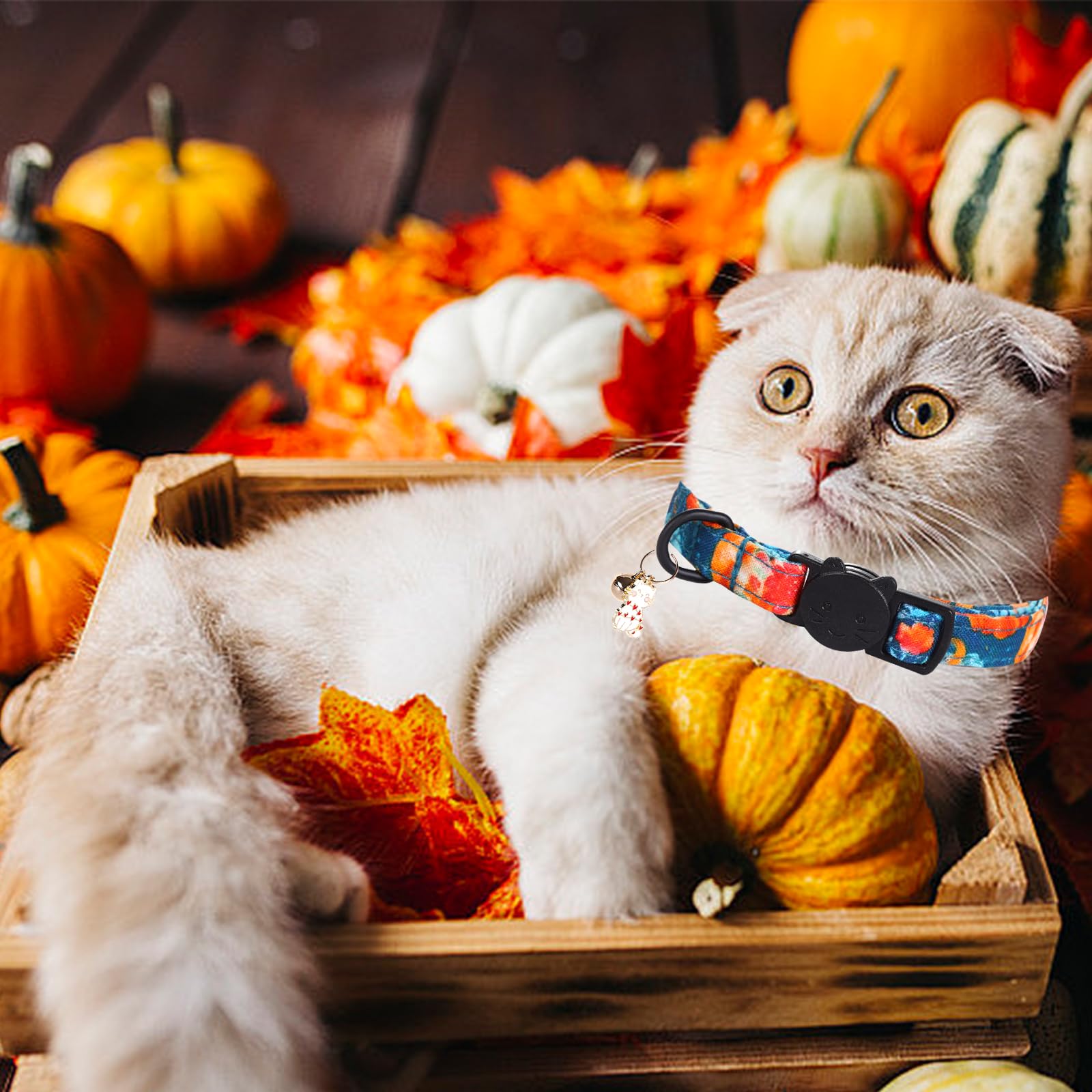 Elegant little tail Halloween Cat Collar-2 Pack Pumpkin Print Fall Cotton Breakaway Cat Collars with Bell Pendant Kitten Boy Girl Safety Adjustable Collar for Small Cats Puppy