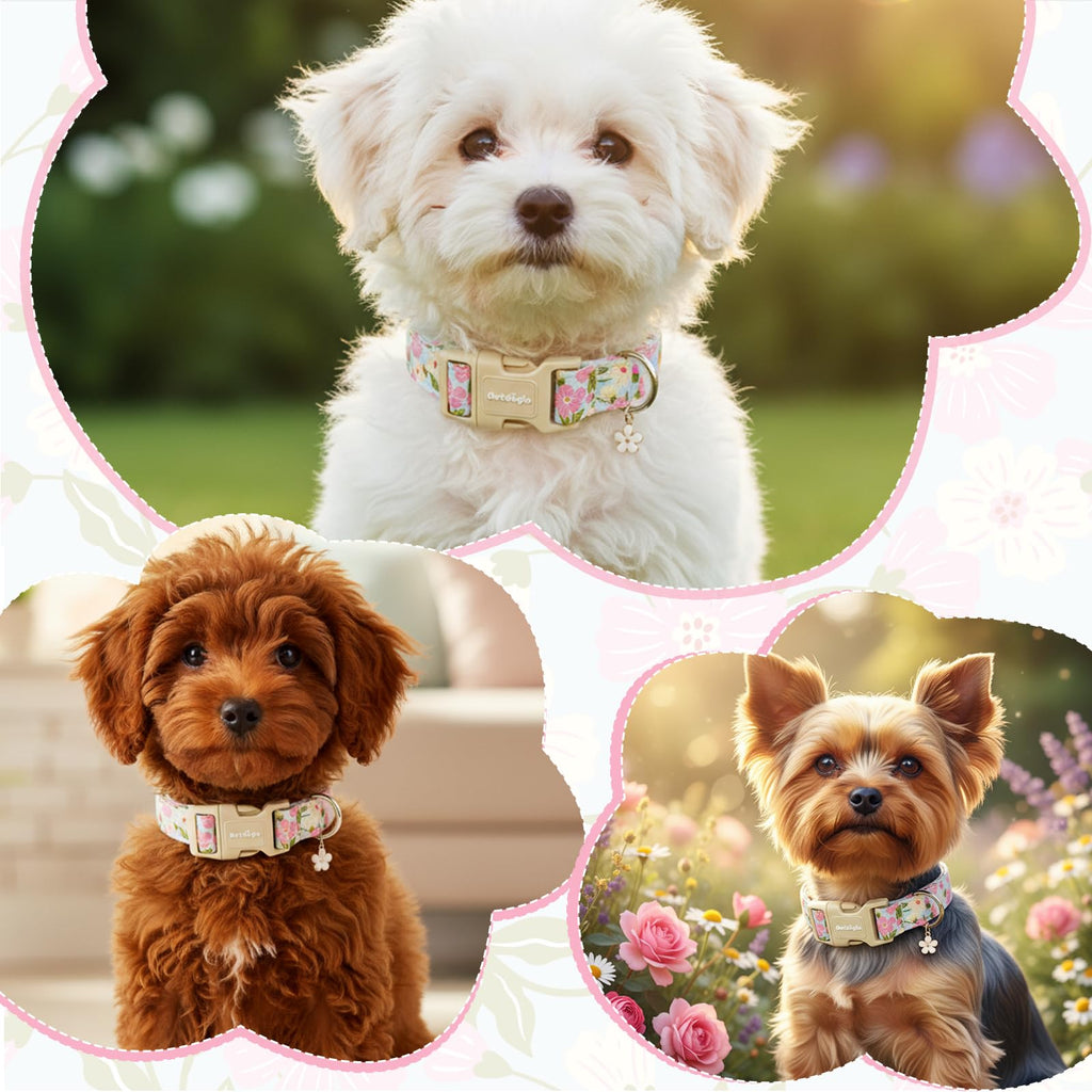 Astdogio Dog Collar for Small Medium Large Dogs, Spring Blue Dog Collars with Pink & White Flowers, Adjustable Cotton Dog Collars, Cute Girl or Boy Dog Collar Ideal for Gifts,Pet Accessory,L