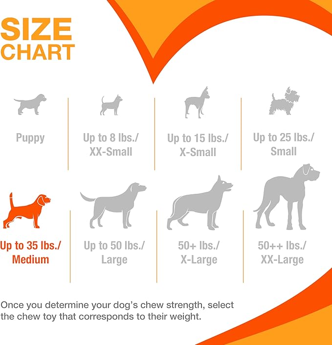 Nylabone Textured Bone Power Chew Toy for Dogs, Durable & Tough Dog Toys for Aggressive Chewers, Beef Jerky Flavor, Medium Dogs - Up to 35 lbs, 1 Count