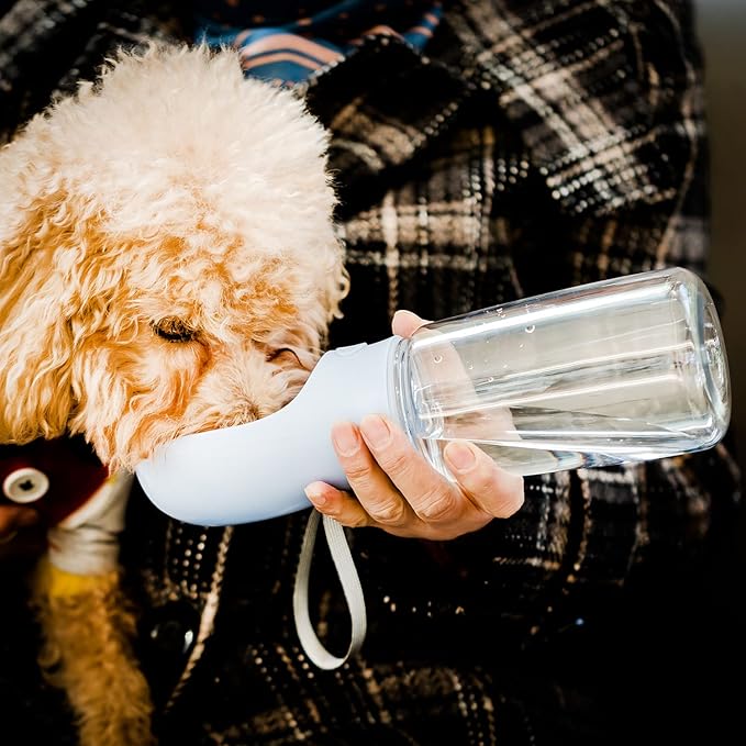 Mr. Pen- Portable Dog Water Bottle, 19 oz, Large