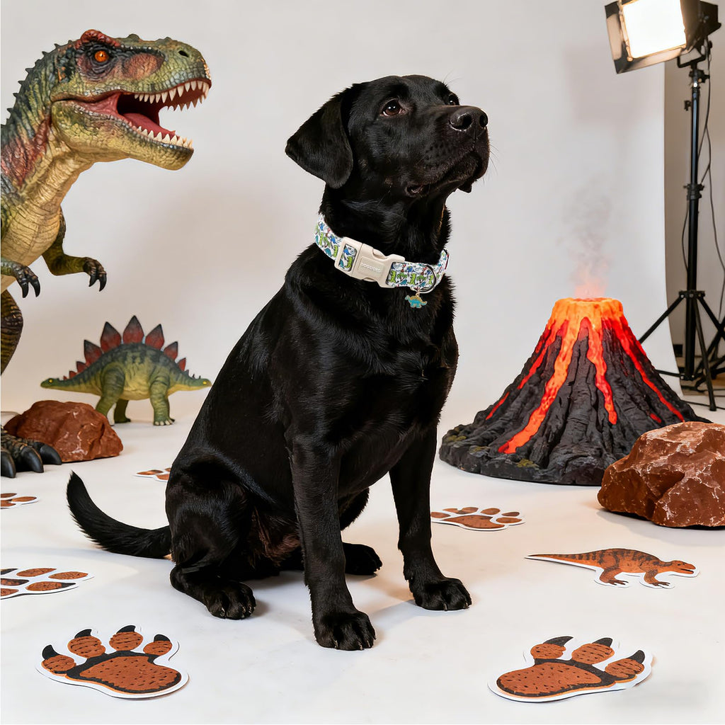 DOGWONG Dinosaur Dog Collar-Cute Green Dinosaur Dog Collar for Small Dogs, Adjustable Comfortable Cotton Boy Dog Collars for Small Medium Large Dogs,S