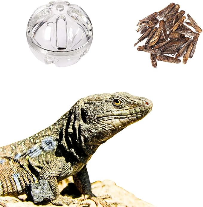 Bearded Dragon Feeder Toy Reptile Foraging Ball Lizard Enrichment Interactive Toy Reptile Terrarium Tank Decor for Lizard,Chameleon Small Animals (3.4 Inch)