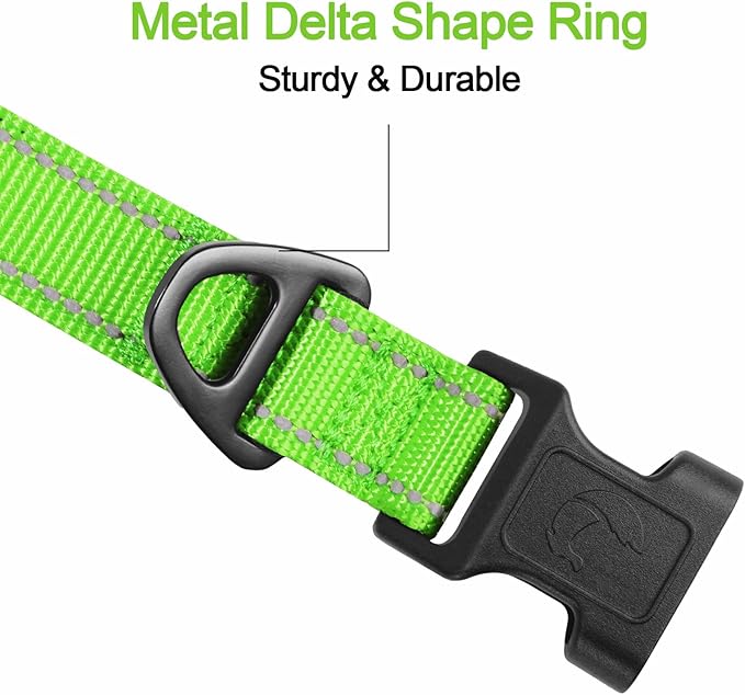 Joytale Reflective Dog Collar, Soft Neoprene Padded, Metal D-Ring, Nylon Pet Collar Adjustable for Puppy and Small Dogs, Green, XS