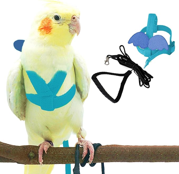 Dnoifne Parrot Harness and Leash, Adjustable Training Design Anti-Bite, Nylon Rope with Cute Wing for Parrots, Suitable for Alexandrine, Scarlet, Keck, Mini Macaw & Same Size Bird (Blue)