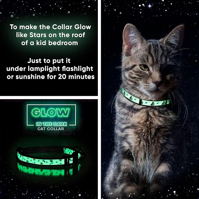 Pawtitas Glow in The Dark Cat Collar with Breakaway Safety Buckle & Bell Adjustable Kitten Collar, Blue