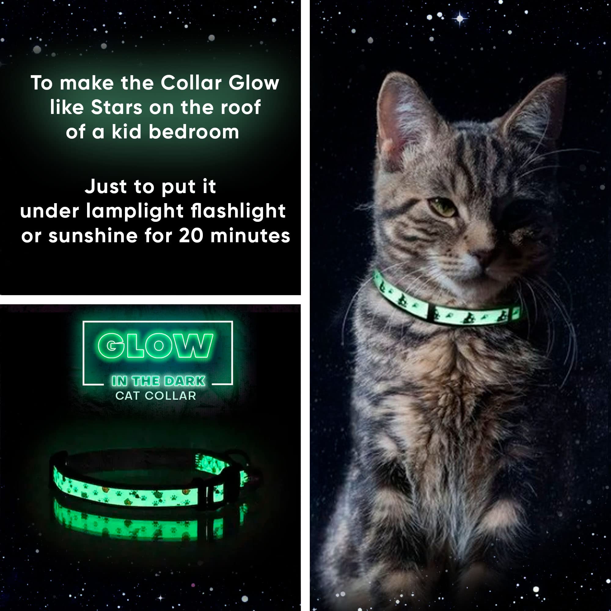 Pawtitas Glow in the Dark Cat Collar with Breakaway Safety Buckle & Bell Adjustable Kitten Collar, Purple