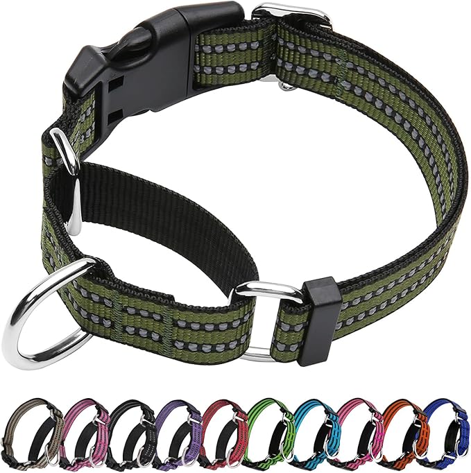 JOYEEIIOO Martingale Dog Collar, Adjustable Nylon Reflective Collar with Quick Release Buckle, No Pull Dog Training Collars for Small Medium Large Dogs (Forest Green, Small)