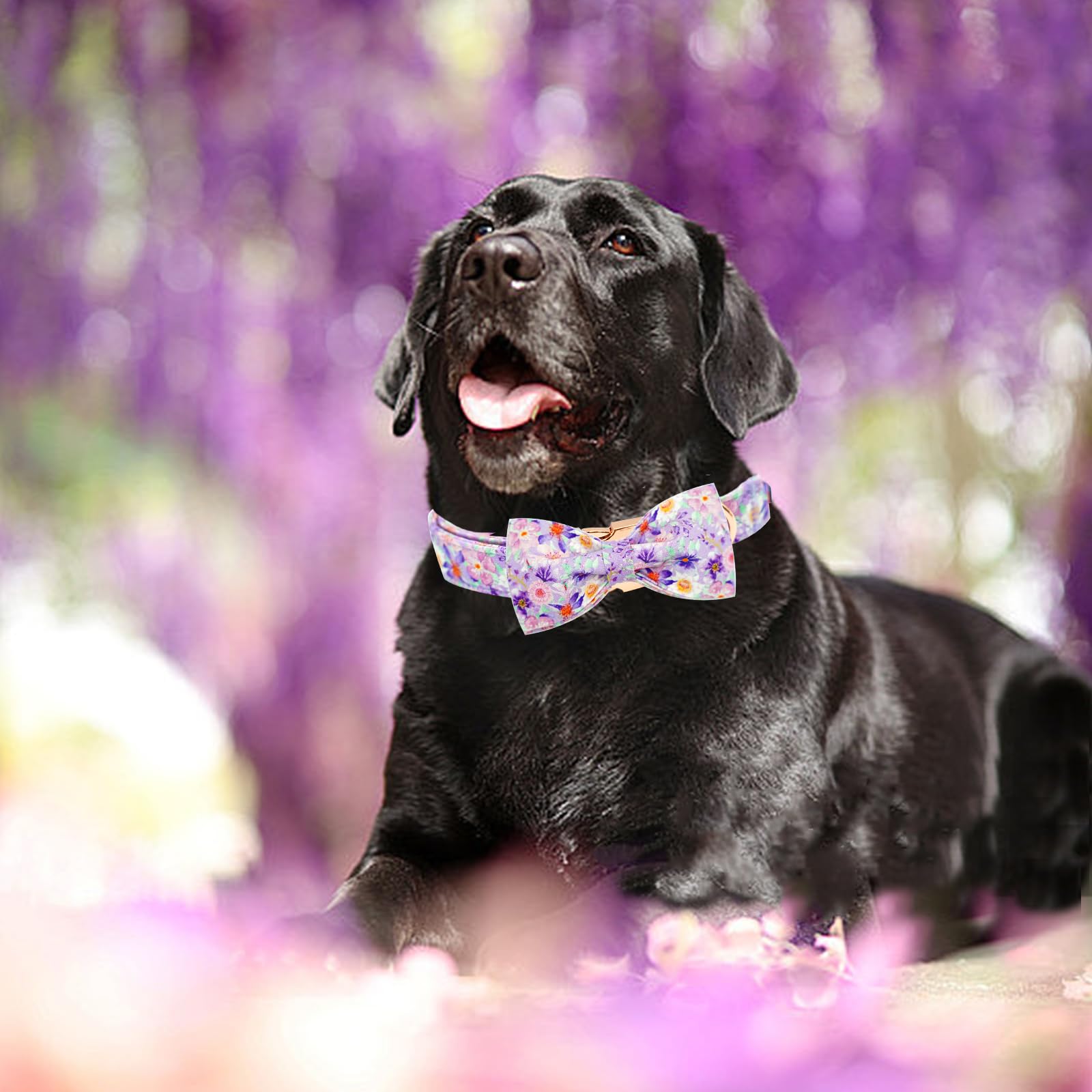 Elegant little tail Dog Collar, Rose Print Pet Collar Summer Dog Collar Durable Metal Buckle Dog Collars Cotton Pet Adjustable Dog Collars for Large Dogs