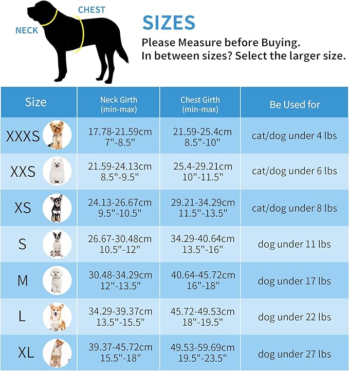 AIITLE Easy Walk Dog Harness and Leash Set - Pet Supply No Pull, Step in Adjustable Dog Harness with Padded Vest for All Weather, Dog Harness No Choke Over, Easy to Put on Medium Dogs Hot Pink L