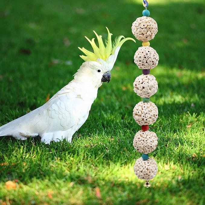 Jinkoozz Bird Chewing Toy, Bird Sola Ball Toy with Bell, Bird Cage Accessories, Cage Toys for Cockatiel Parakeet Parrot Budgies Rat Hamster Chinchilla Rabbit Bunny African Grey