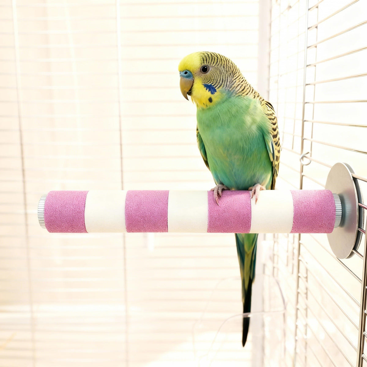 Bird Perch for Cage, Parrot Perch 7.9” x 1” Bird Beak Grinding Stone – Durable Beak & Claw Trimming Accessory for Conure, Cockatiel & Parrot, Non-Toxic Birds Cage Accessory